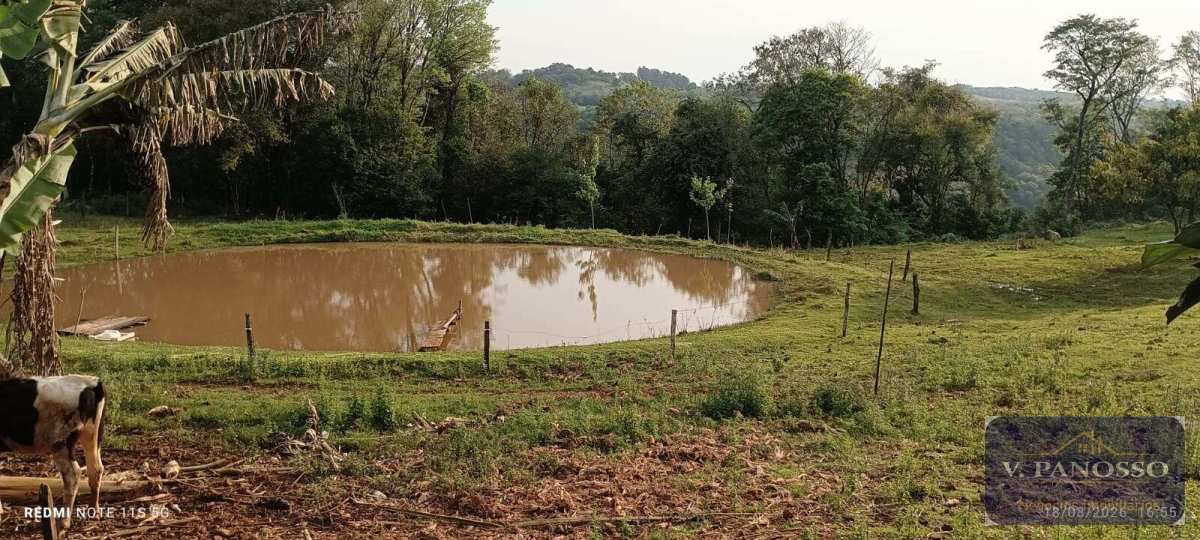 Chacara de 3.80 ha - Panosso Imóveis - Negócios Imobiliários